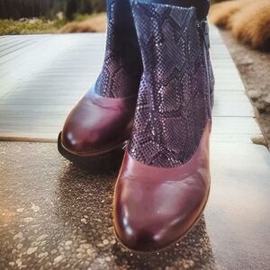 Cloud Footwear Burgundy With Black Snakeskin Ankle Boots